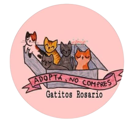 Gatitos Rosario