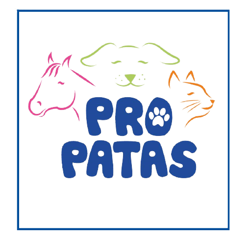 Propatas